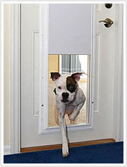 Electronic Dog Doors | Dog Doors, Cat Doors, Pet Doors For Sliding